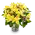 Kytice žlutých orchidejí
